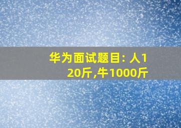 华为面试题目: 人120斤,牛1000斤